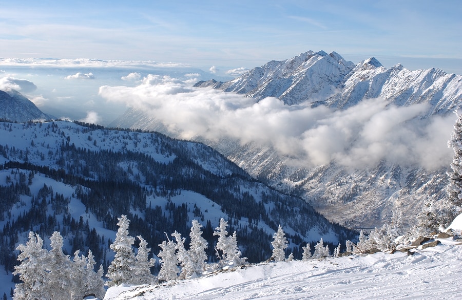 Spring in Snowbird UT