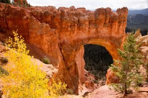 Autumn in Bryce Canyon Utah 