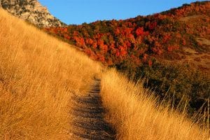 Utah Trails