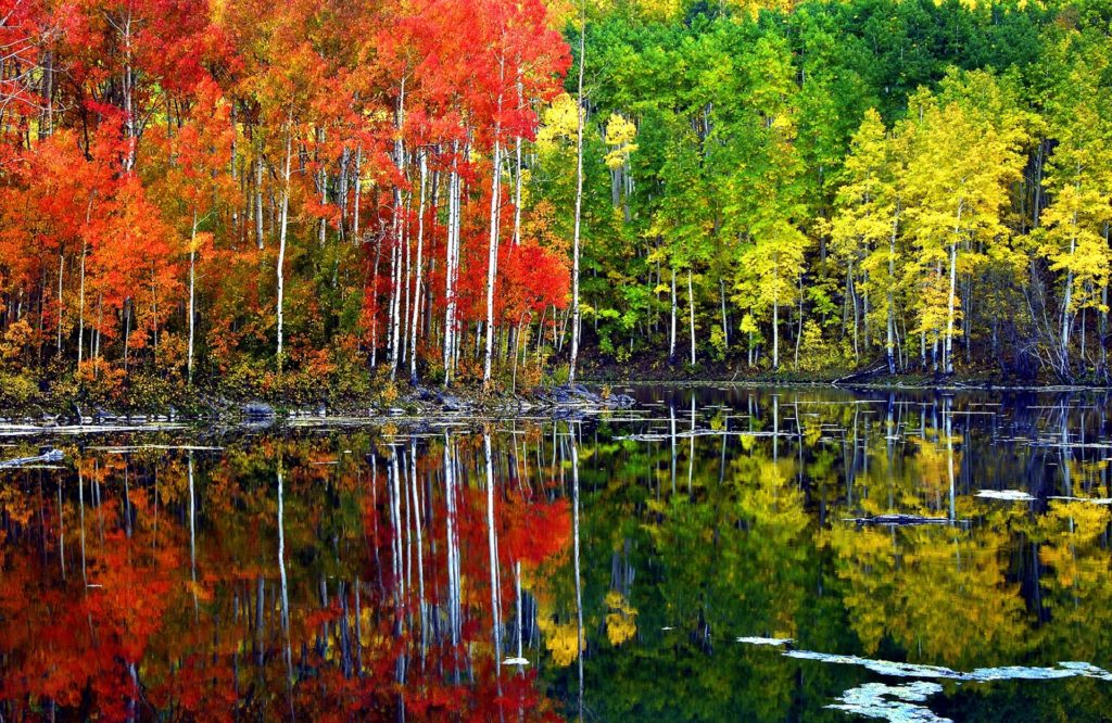 Fall ATV Rental