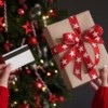 Why Gift a Snowmobile Tour for the Holiday?