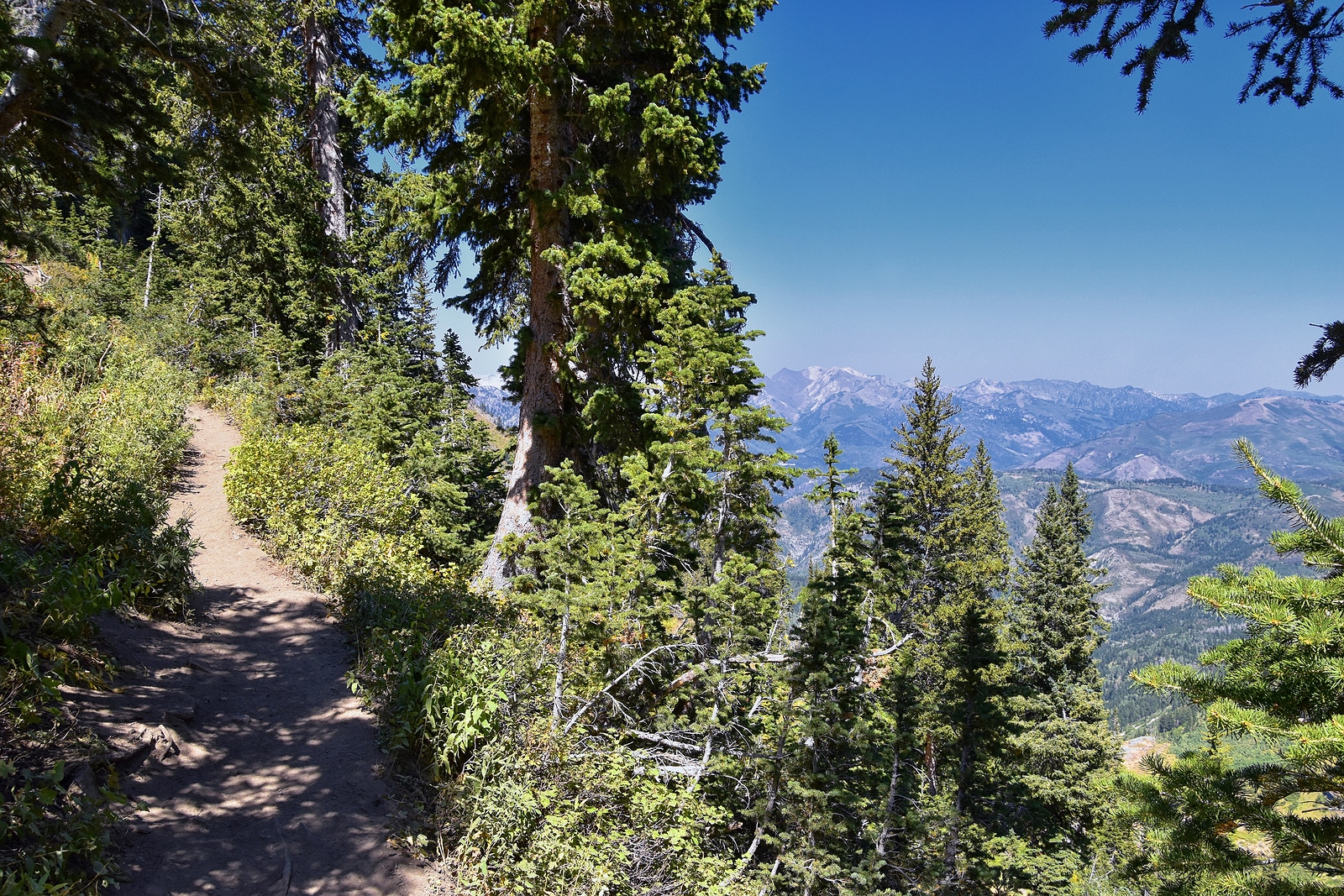 Local Trails in Heber City Utah